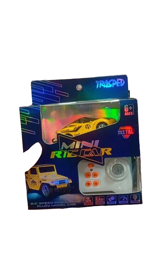 Mini RC car