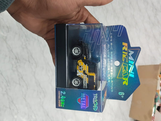 Mini RC car